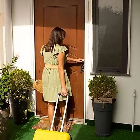 Miseno23 4* 바콜리